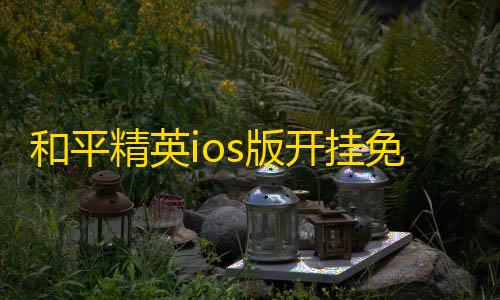 全网最低价卡网和平精英ios版开挂免费下载